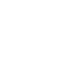 alert